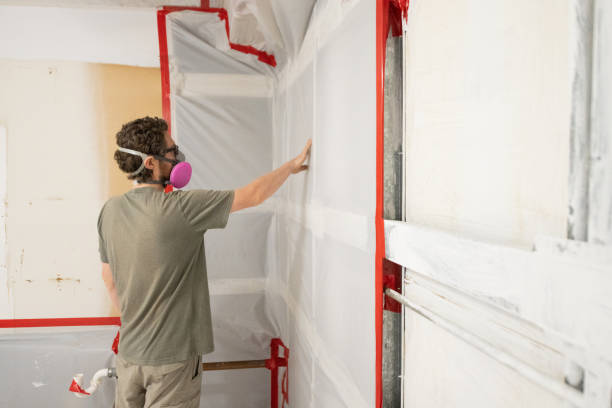 Best Black Mold Removal  in Llano, TX