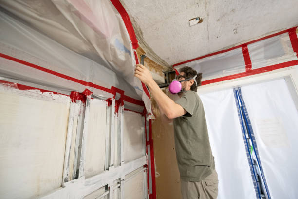 Best Basement Mold Removal  in Llano, TX